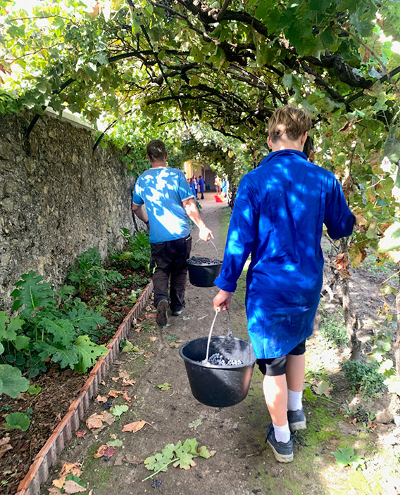 3ème professionnelle de l'enseignement agricole à Tournon en Ardèche 3ème professionnelle de l'enseignement agricole à Tournon en Ardèche