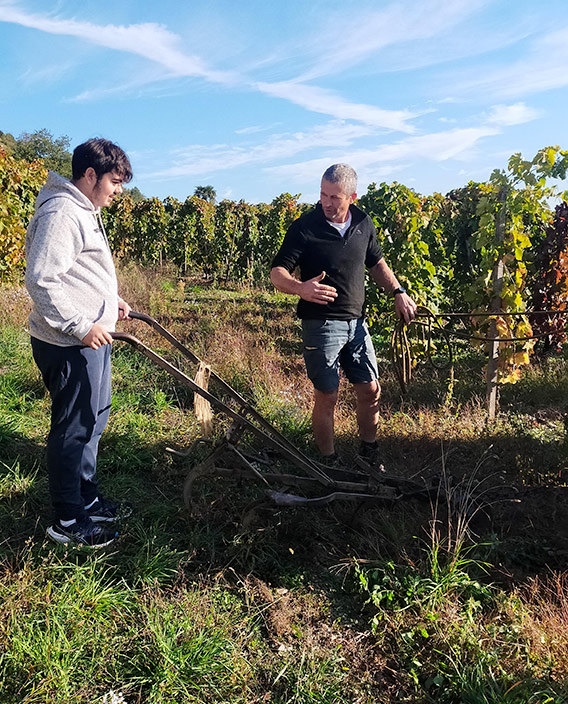 Élèves viticulture vendanges Côtes du Rhône