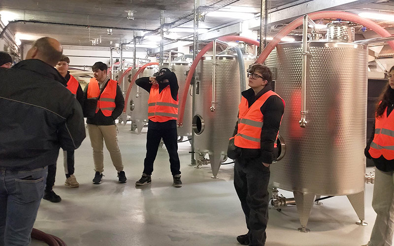 Bac Pro Vigne te vin